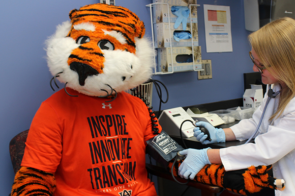Aubie has blood pressure checked