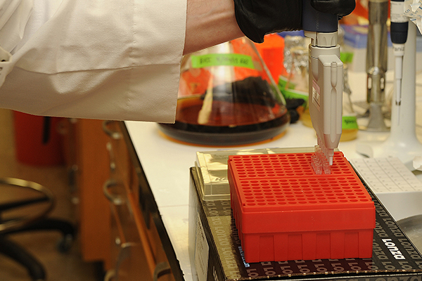 researcher piping into tube